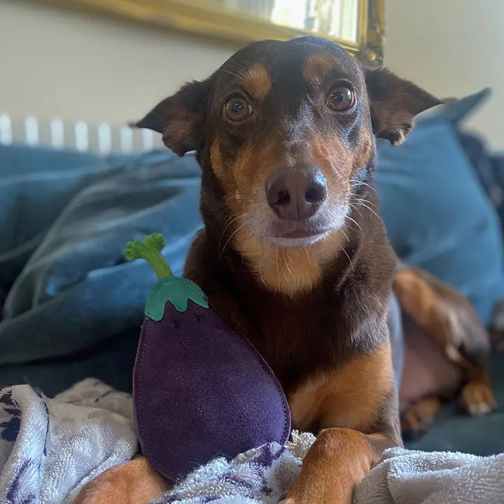 Austin Aubergine, Eco Toy, Green & Wilds