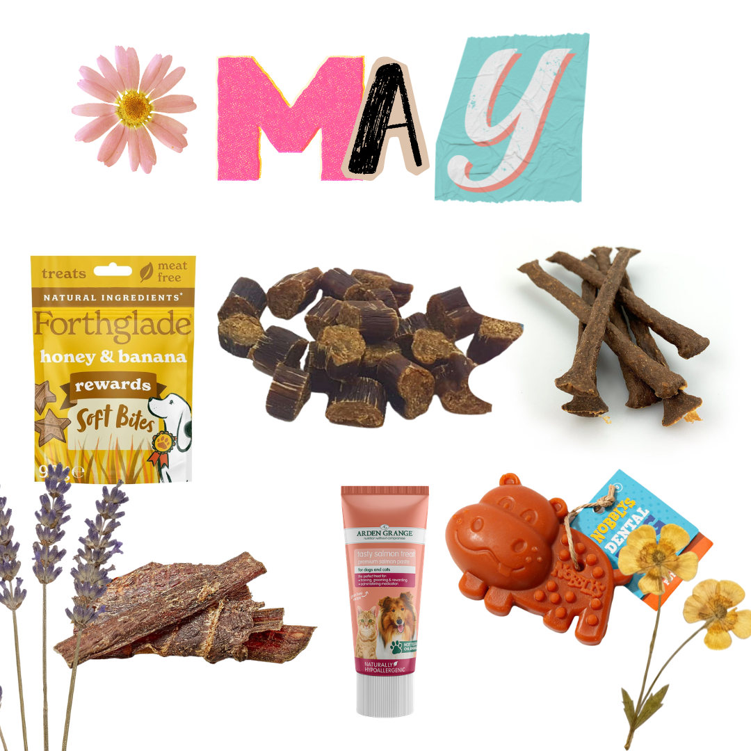 Natural Treat & Chews Bundle - Bob's Monthly Favs!