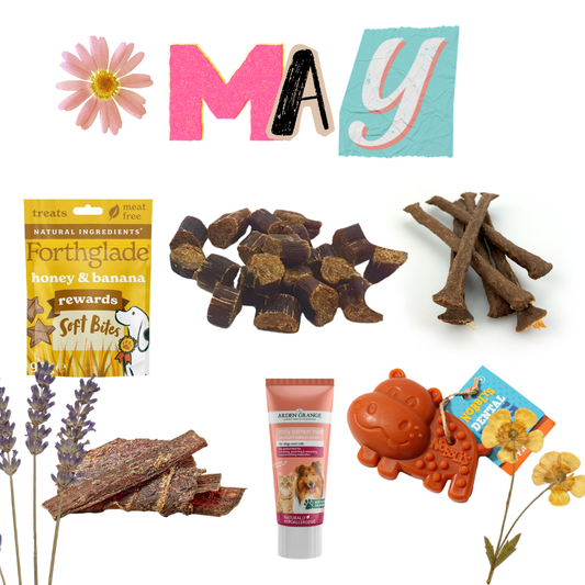 Natural Treat & Chews Bundle - Bob's Monthly Favs!