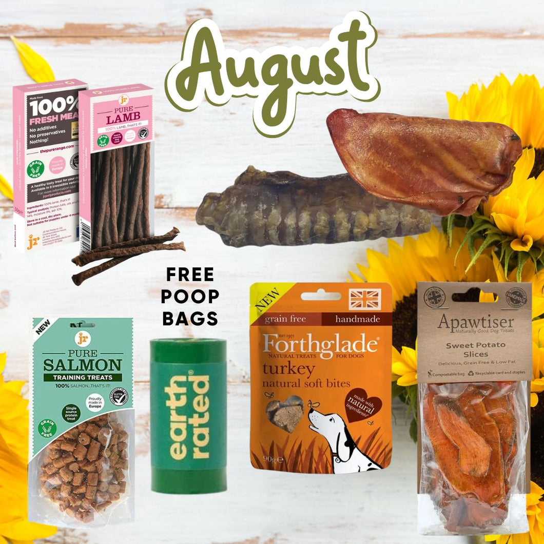 Bob's August Favs!