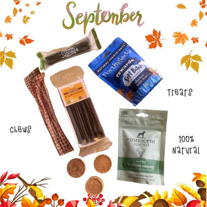 Bob's Monthly Favs!