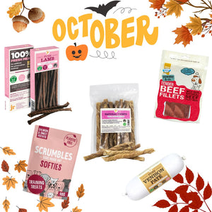 Bob's Monthly Favs!