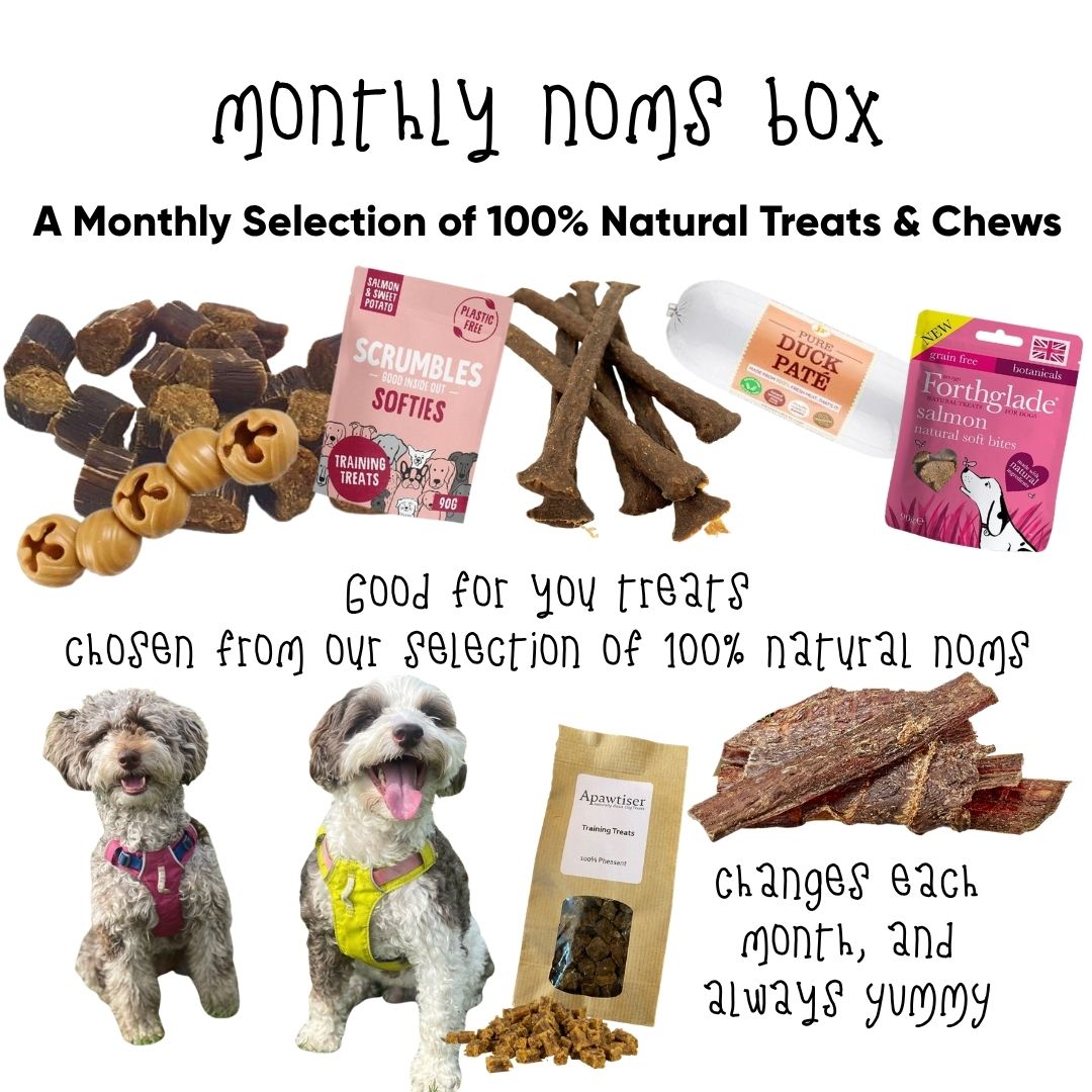 Natural Treat & Chews Bundle - Bob's Monthly Favs!