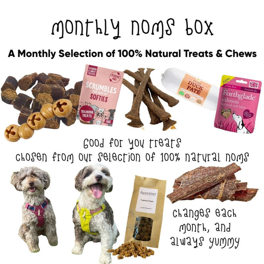 Natural Treat & Chews Bundle - Bob's Monthly Favs!