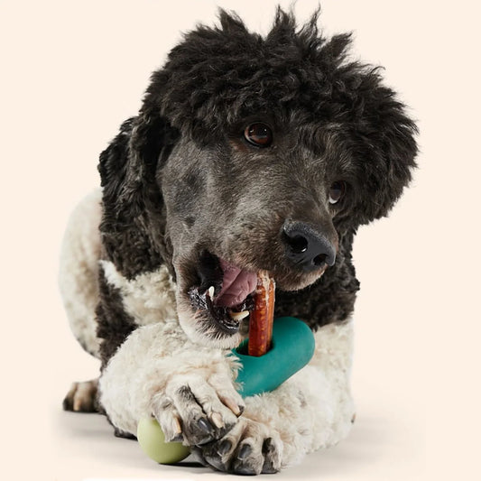 Woof BullySafe Bully Stick & Pizzle Chew Holder