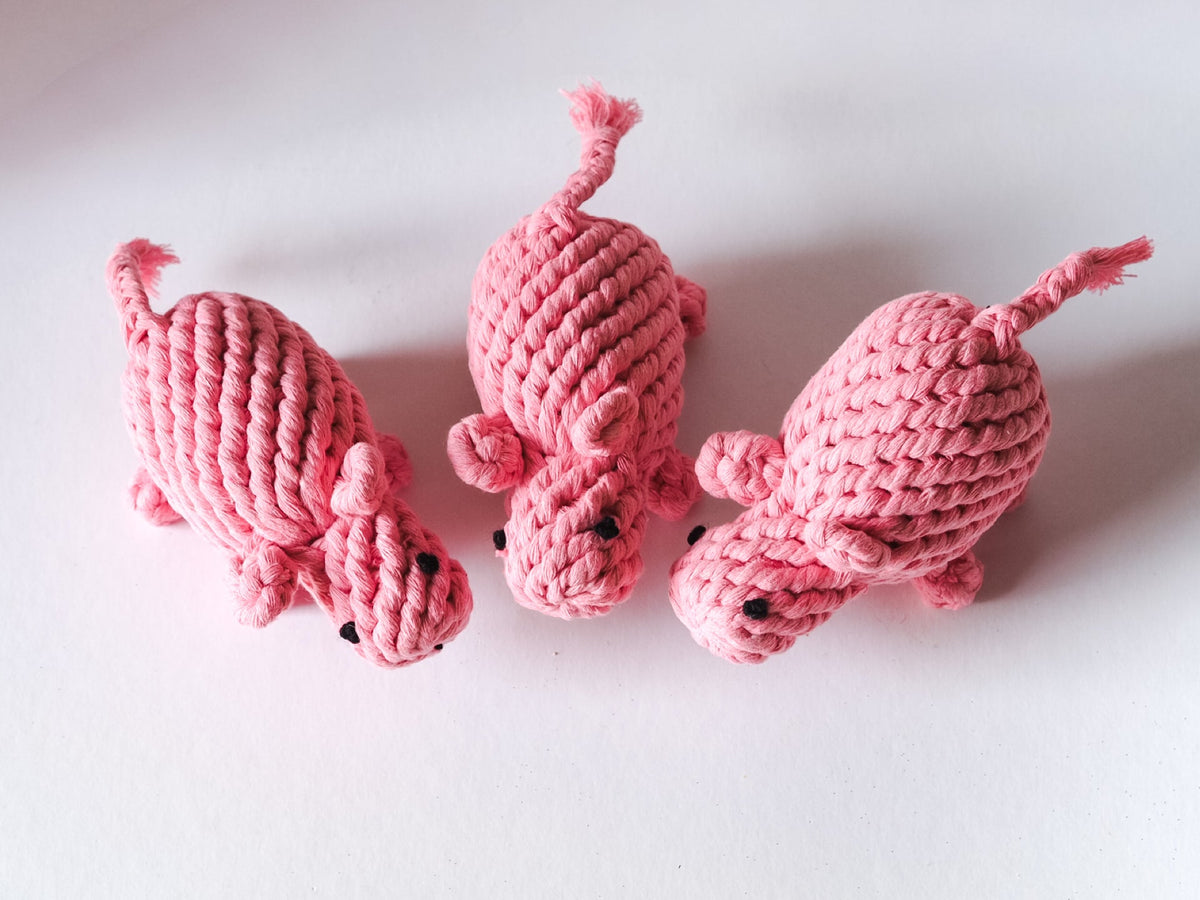 Little Pink Pig