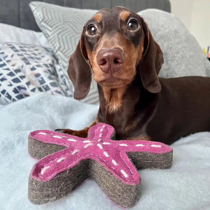 Stanley the Starfish, Eco Toy, Green & Wilds