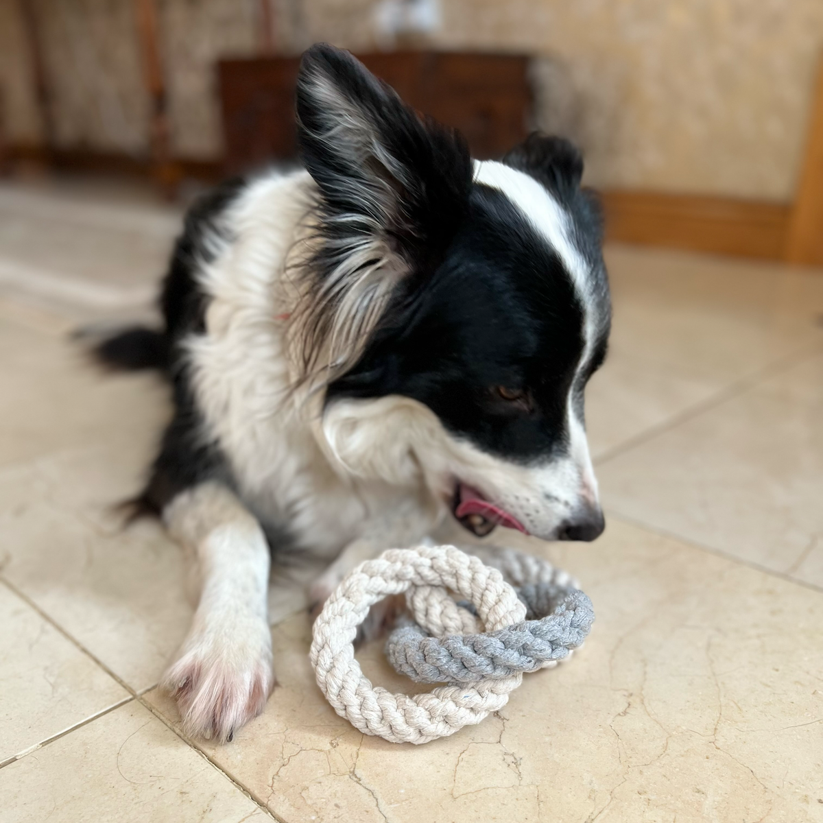 Tri Ring Rope Toy
