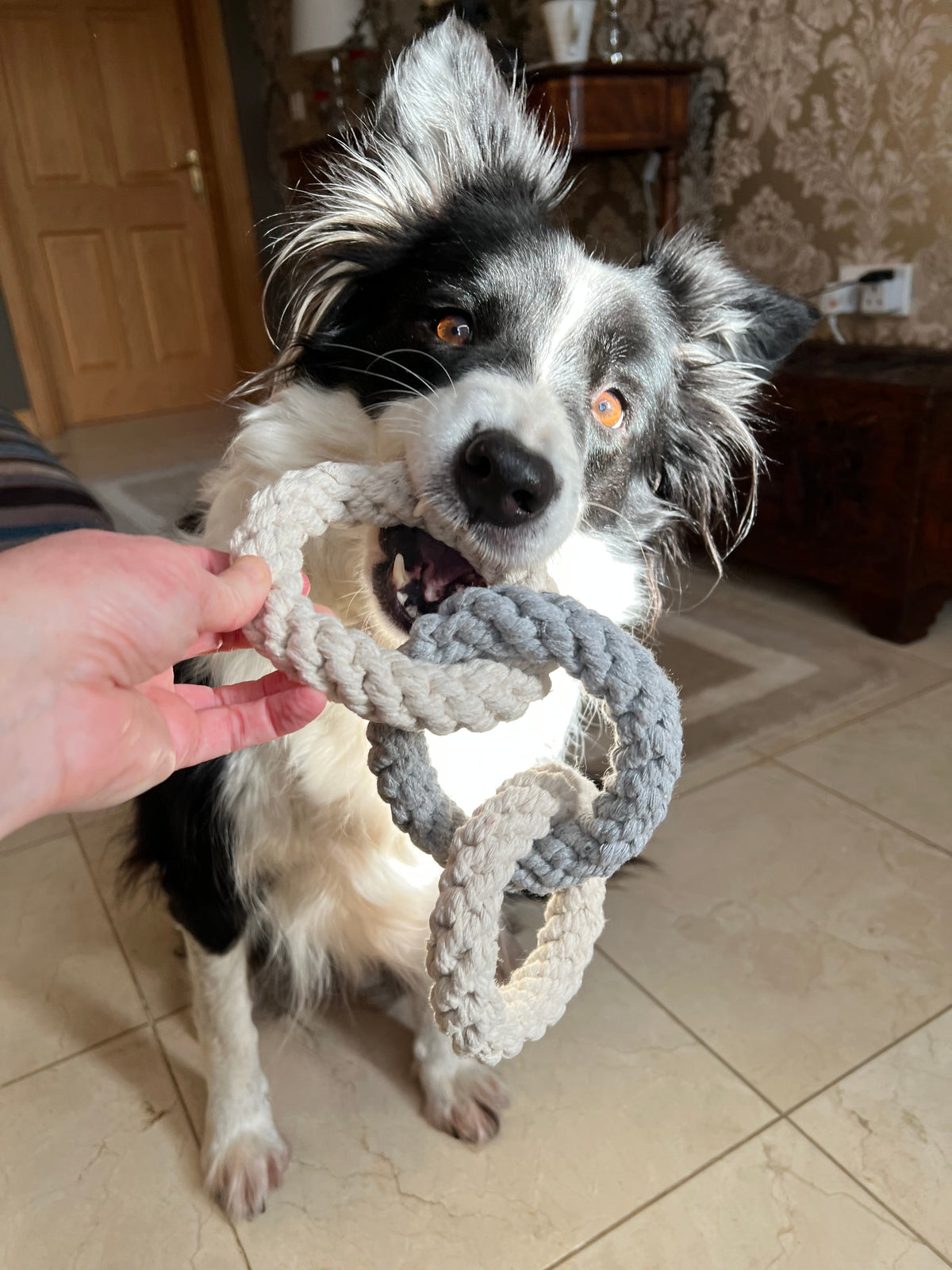Tri Ring Rope Toy