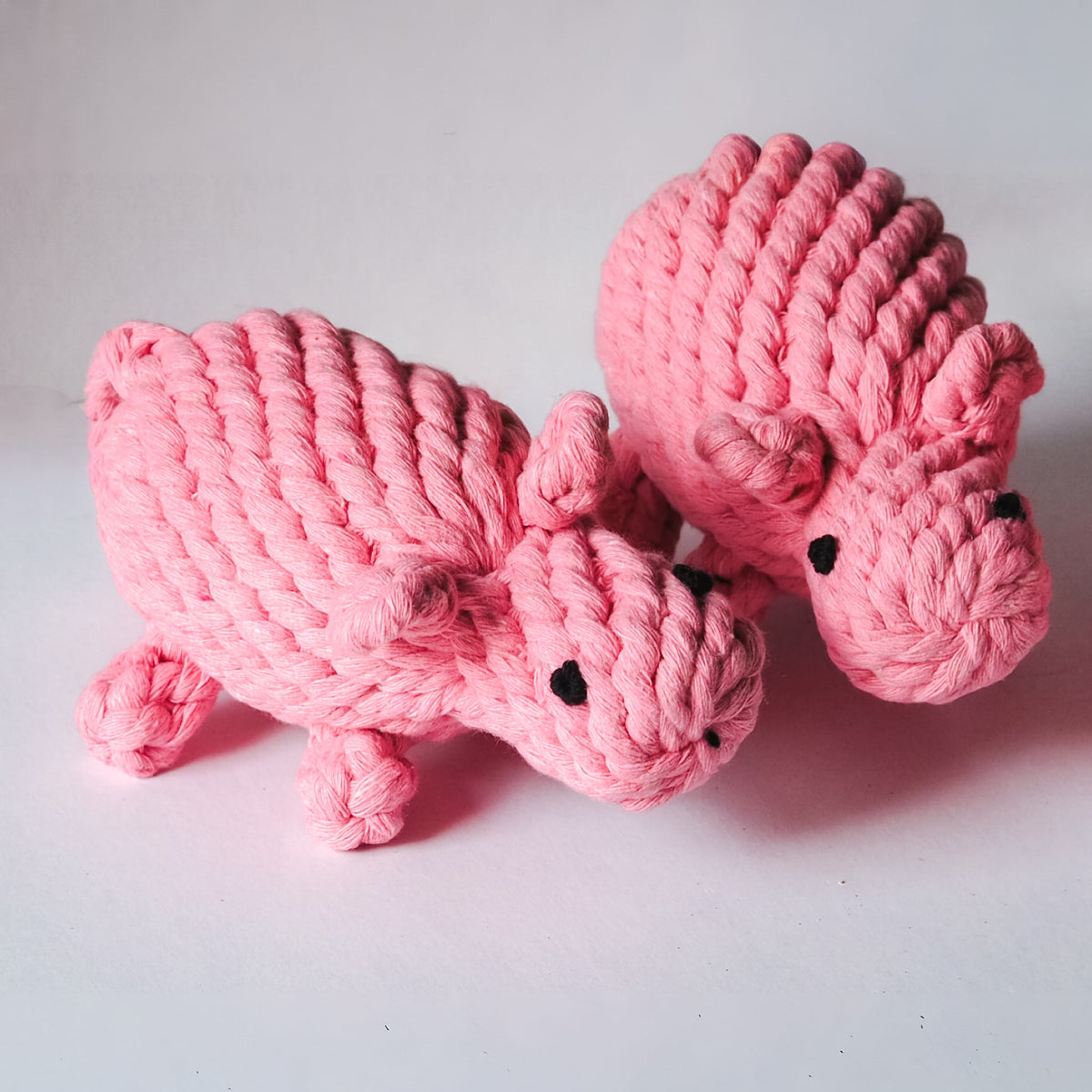 Little Pink Pig