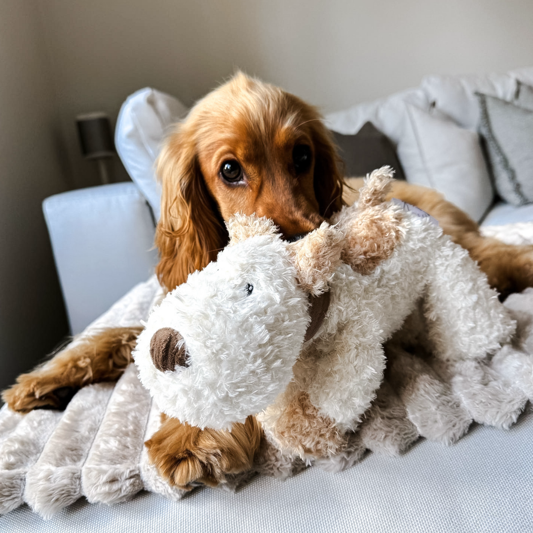 Luxury Bundle - Luca/Sansa/Bingley