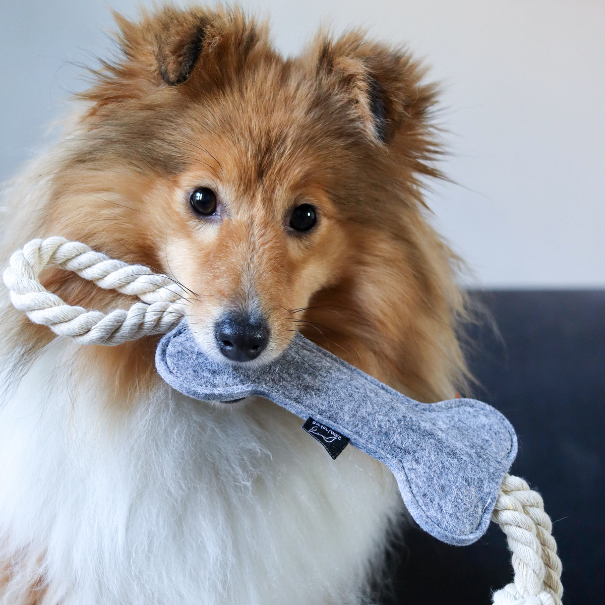 Felt Rope Toy
