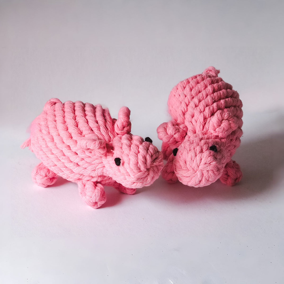 Little Pink Pig
