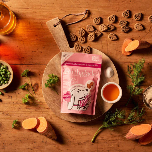 Forthglade Functional Soft Bites Joints & Bones with salmon oil