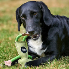 Load image into Gallery viewer, Green &amp; Wilds Francois Le Frog eco toy