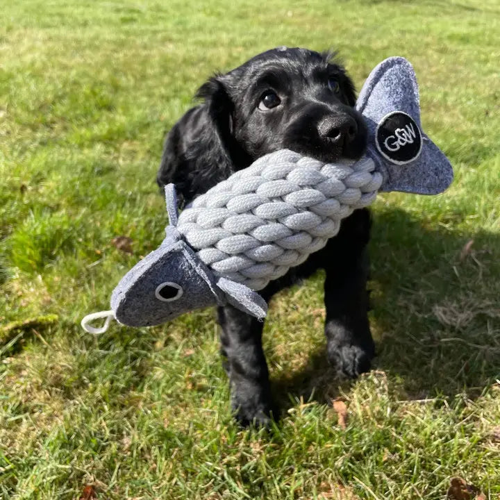 Roger the Ropefish, Eco Toy, Green & Wilds