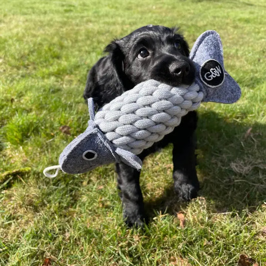 Roger the Ropefish, Eco Toy, Green & Wilds