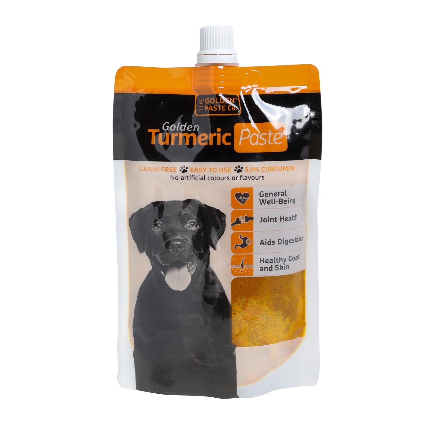 Turmeric Golden Paste