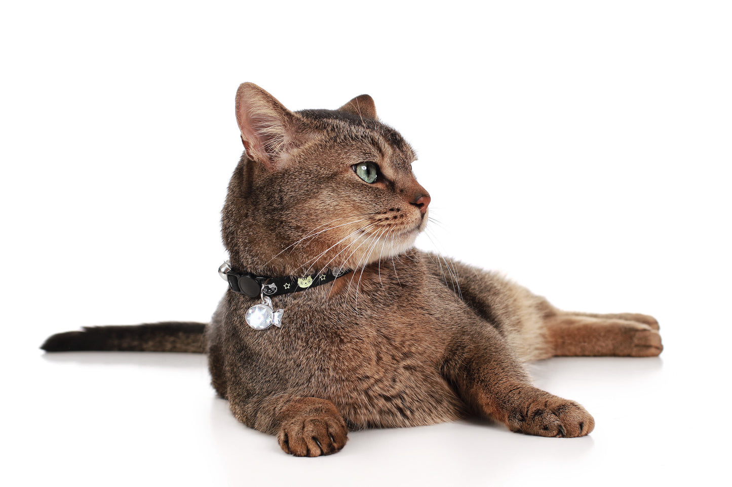 Funky Cat Collar - five designs