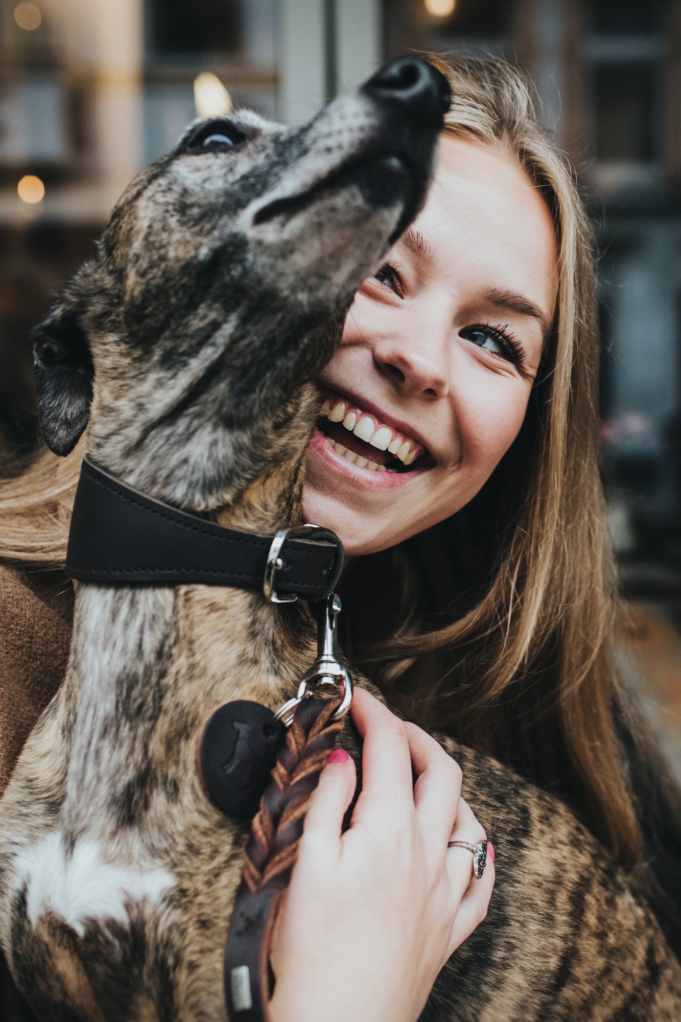Greyhound Leather Collar Super Soft -  dark brown