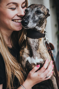 Greyhound Leather Collar Super Soft -  dark brown