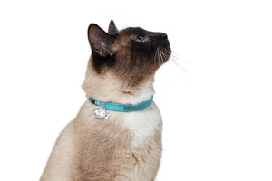 Sparkle Cat Collar - 4 colours