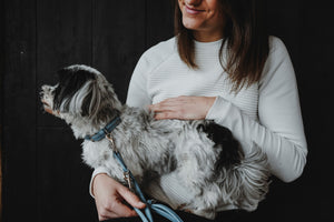 Hunter Soho Small Dog leather lead - blue