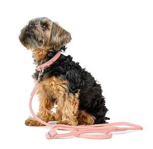 Hunter Soho Small Dog Leather Collar - light pink