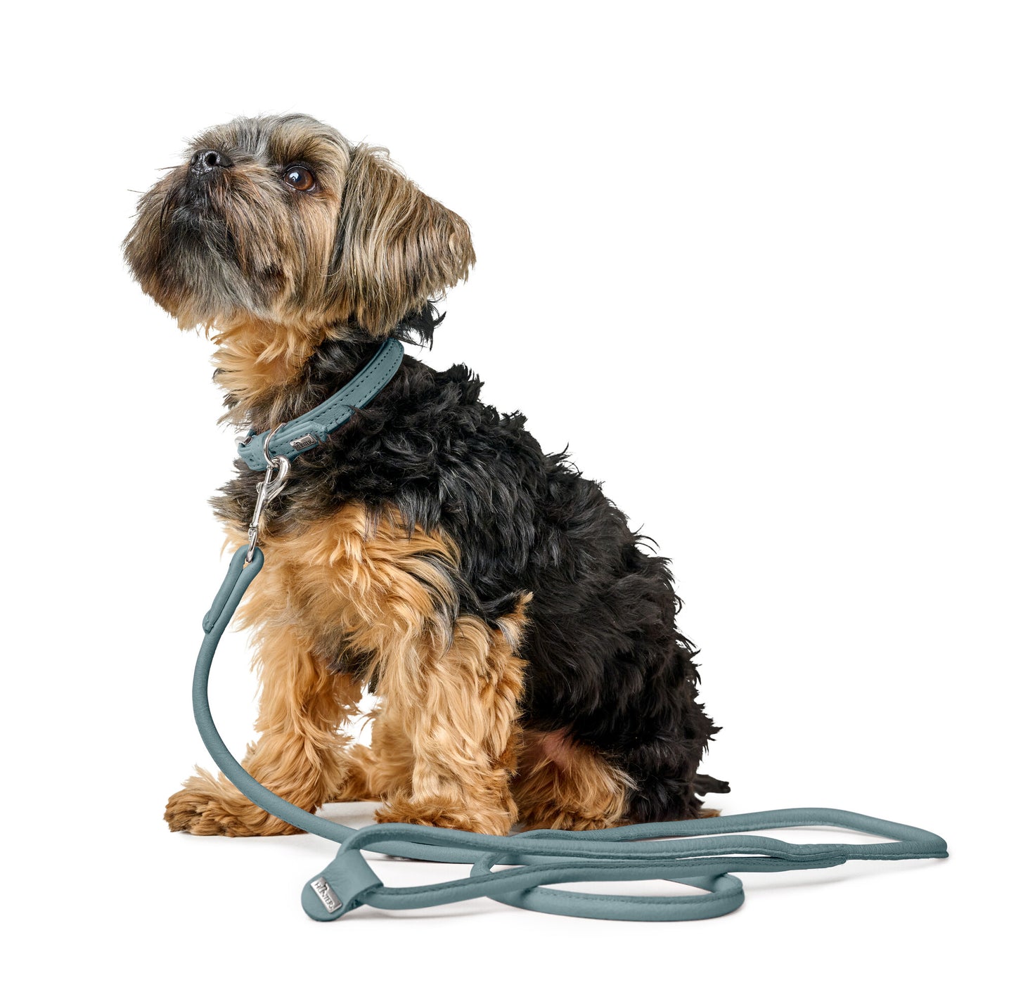 Hunter Soho Small Dog Leather Collar - light blue