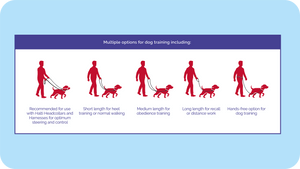 Halti Training Lead - 2 sizes