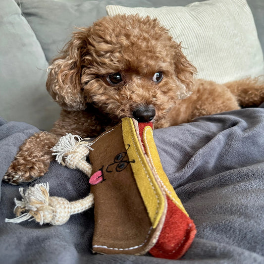 Harry the Hot Dog - eco dog toy, Green & Wilds
