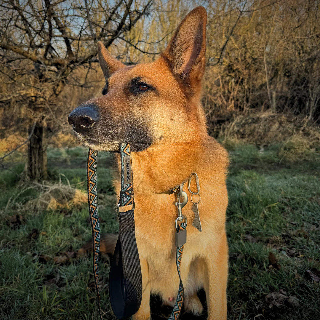 Go-Cee Strong Every Day Dog Lead - Hollyhock - Neerdog