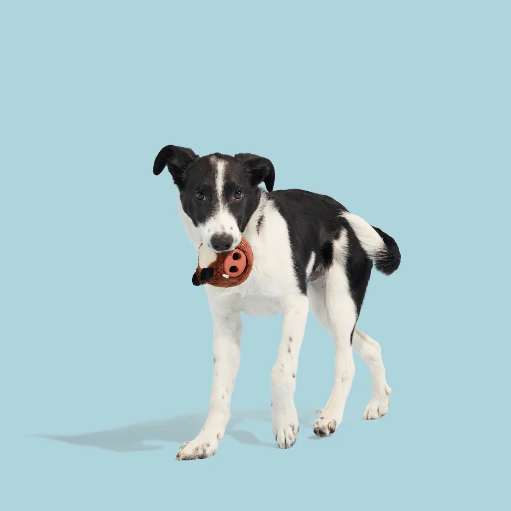 BARK Wild Boris Toy