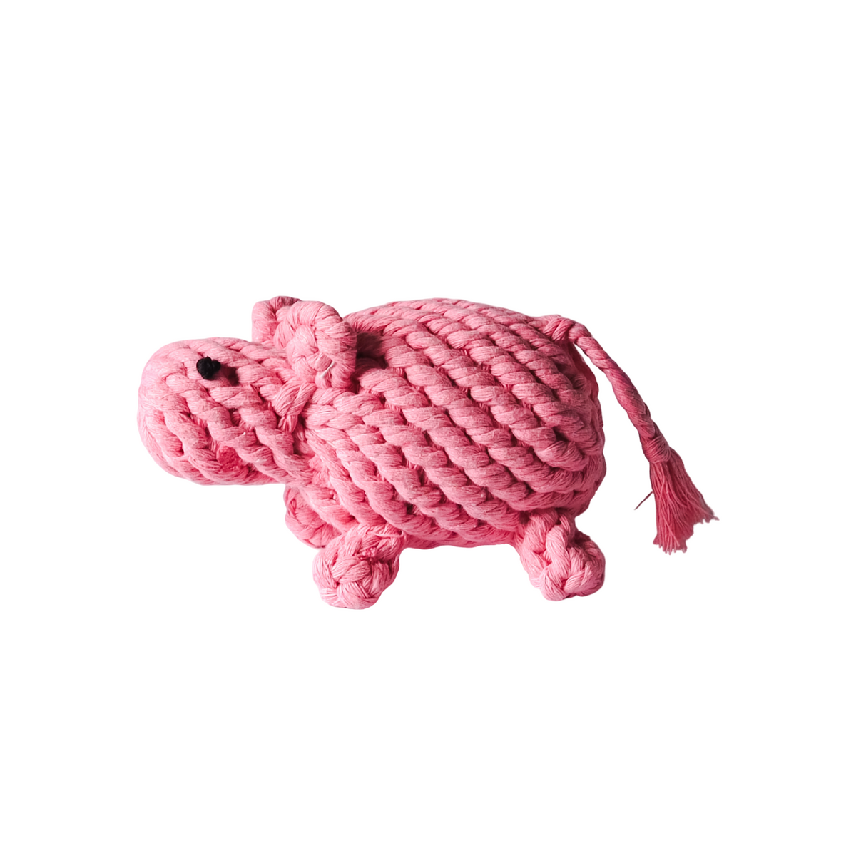 Little Pink Pig
