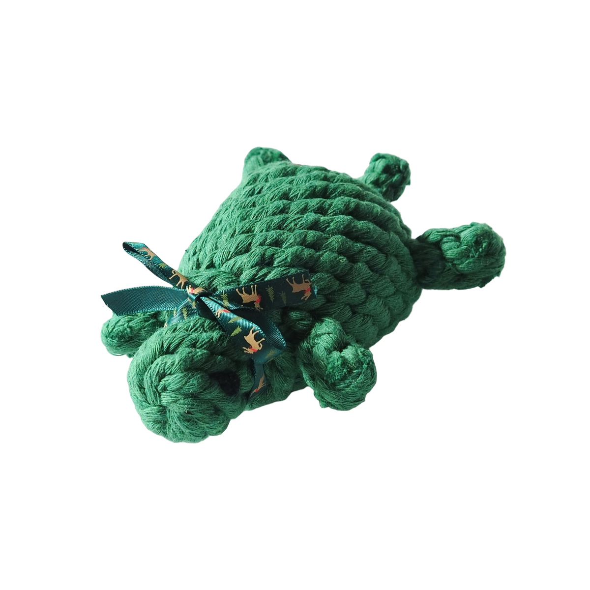Little Green Turtle