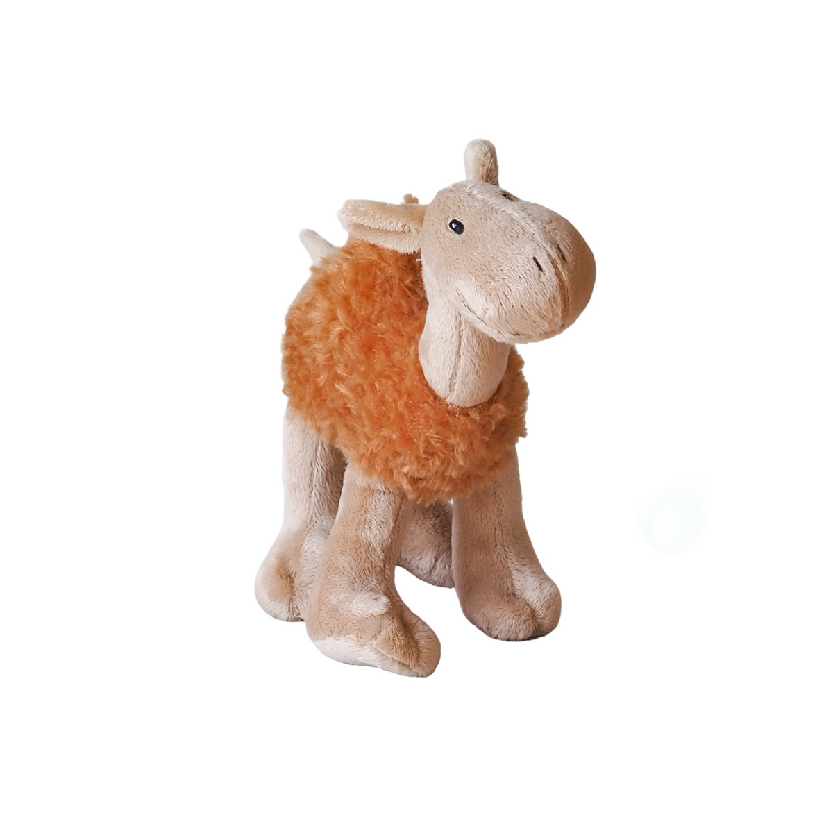 Cyril Camel