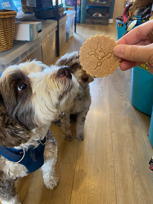 Be More Bob Apple & Peanut Butter Biccies