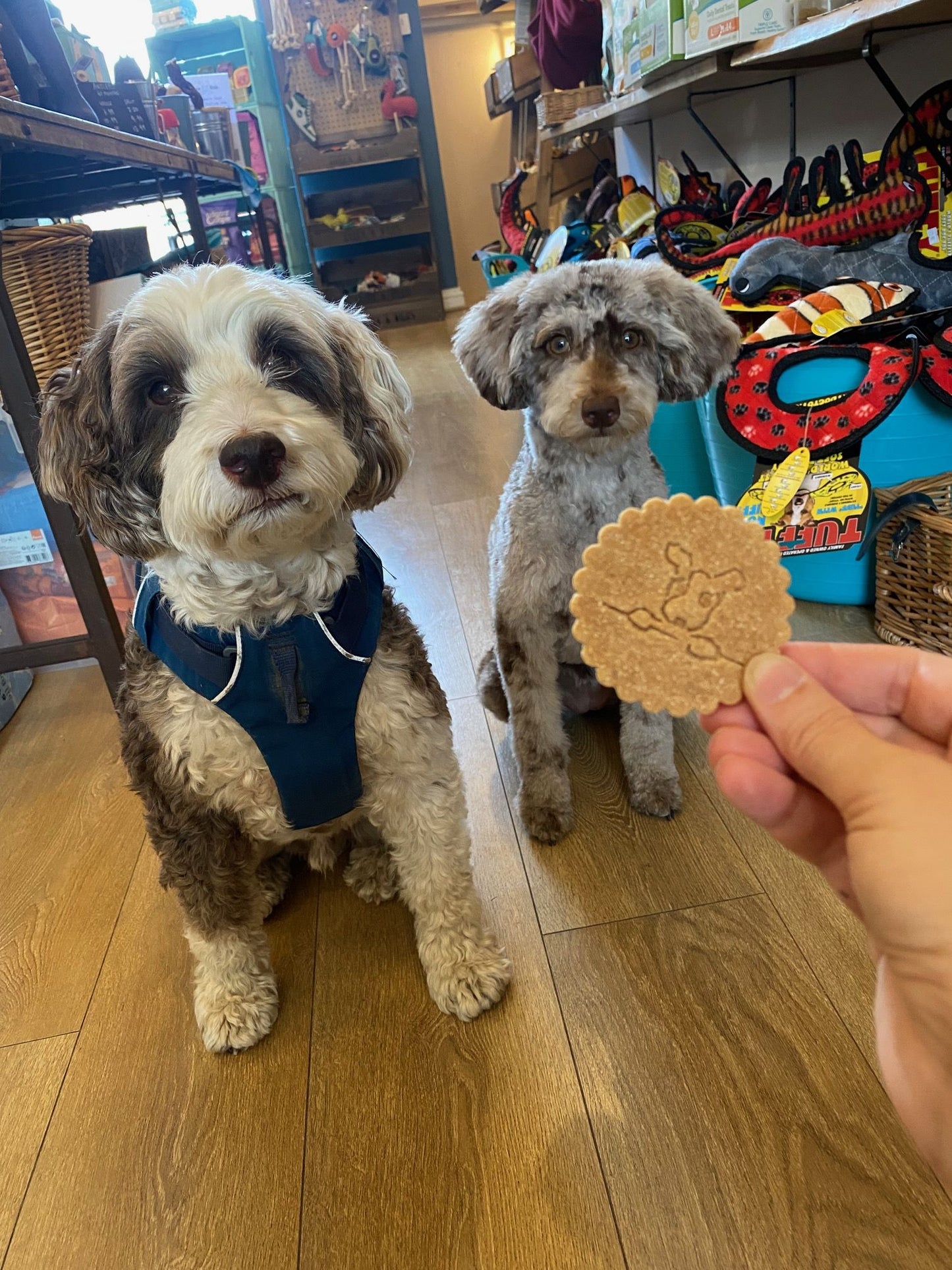 Be More Bob Apple & Peanut Butter Biccies