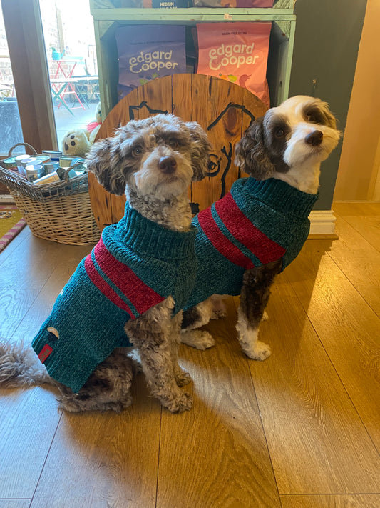 Peekaboo Rudolf Dog Jumper