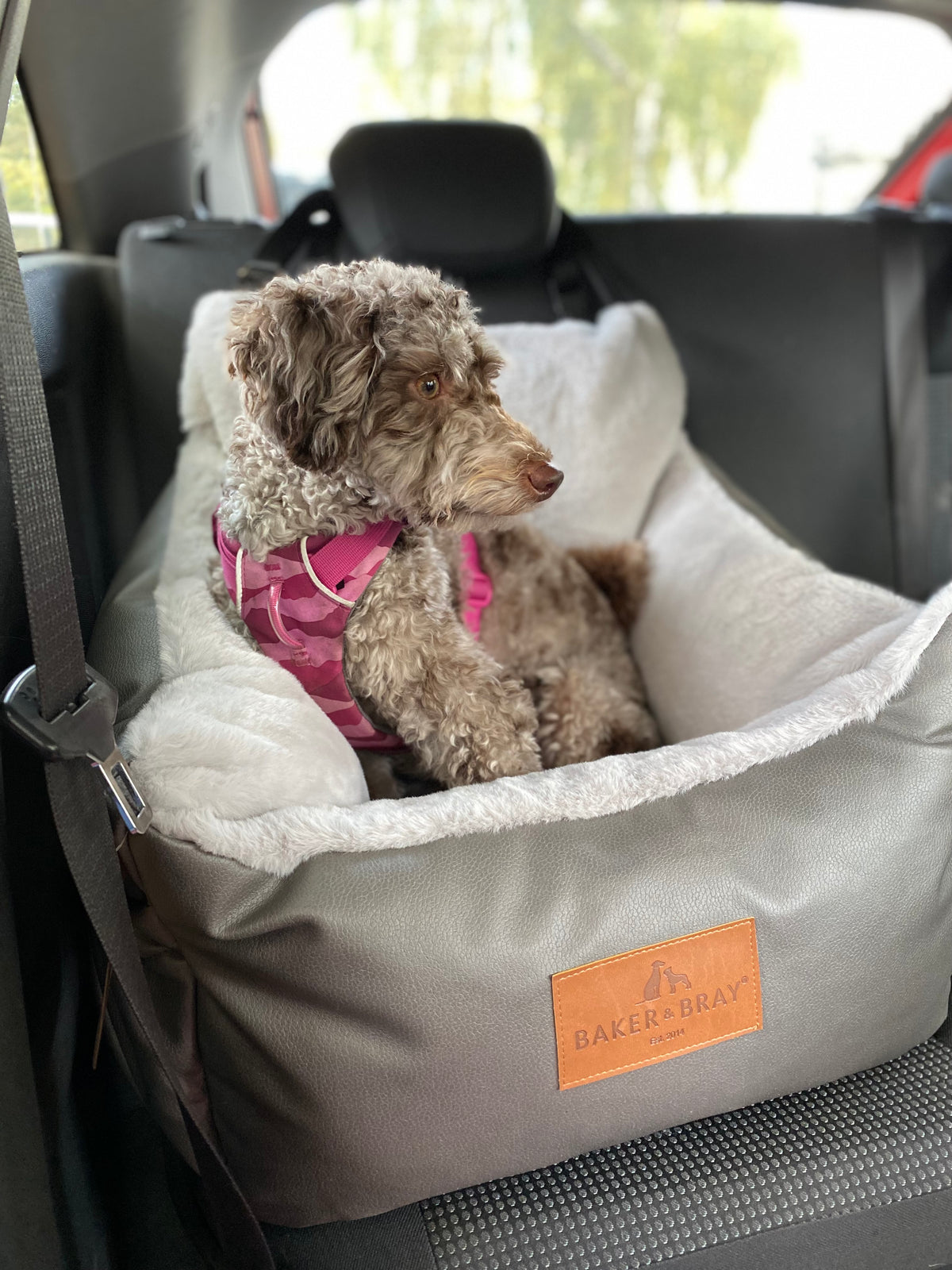 Baker & Bray Memory Foam Dog Car Seat
