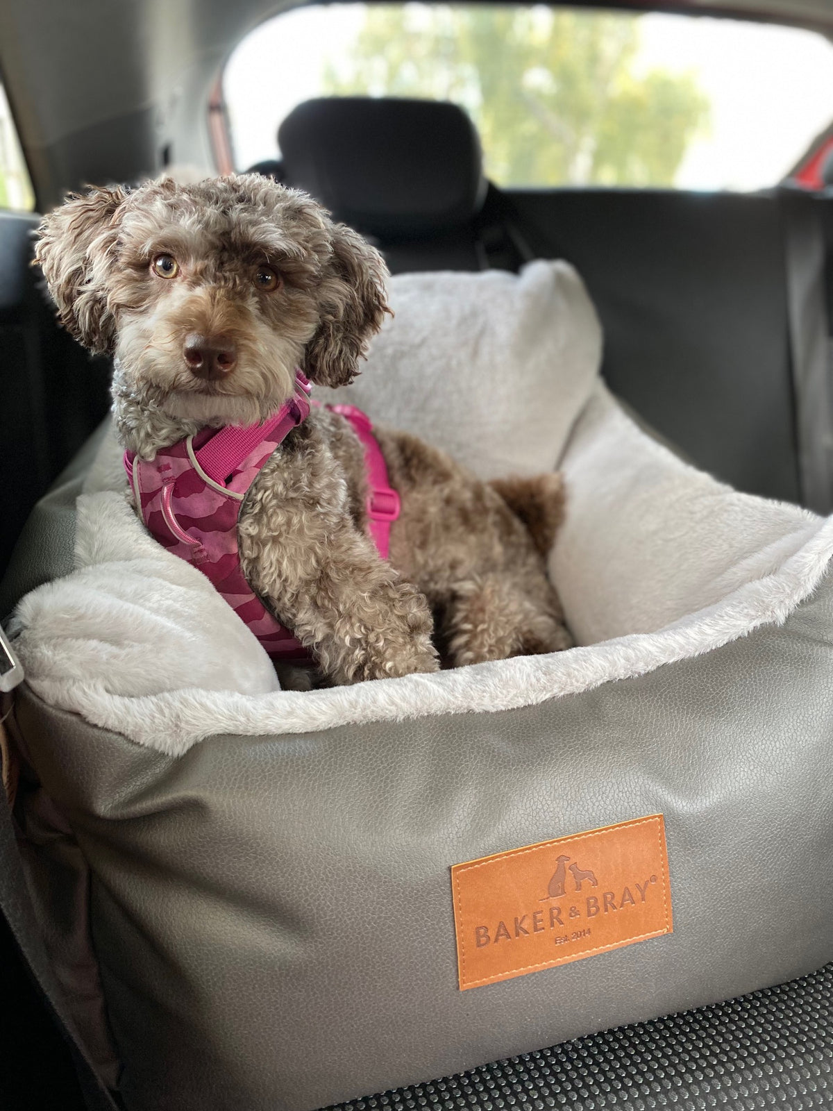 Baker & Bray Memory Foam Dog Car Seat
