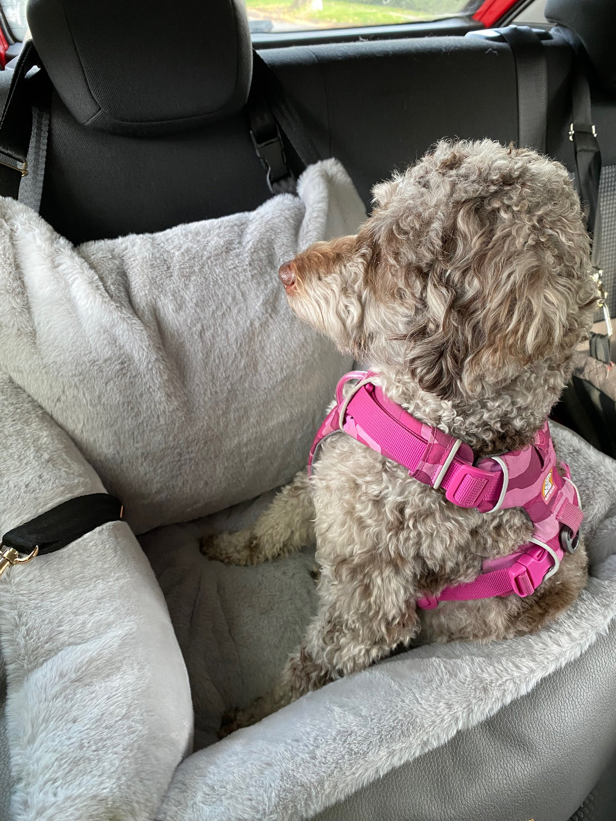 Baker & Bray Memory Foam Dog Car Seat