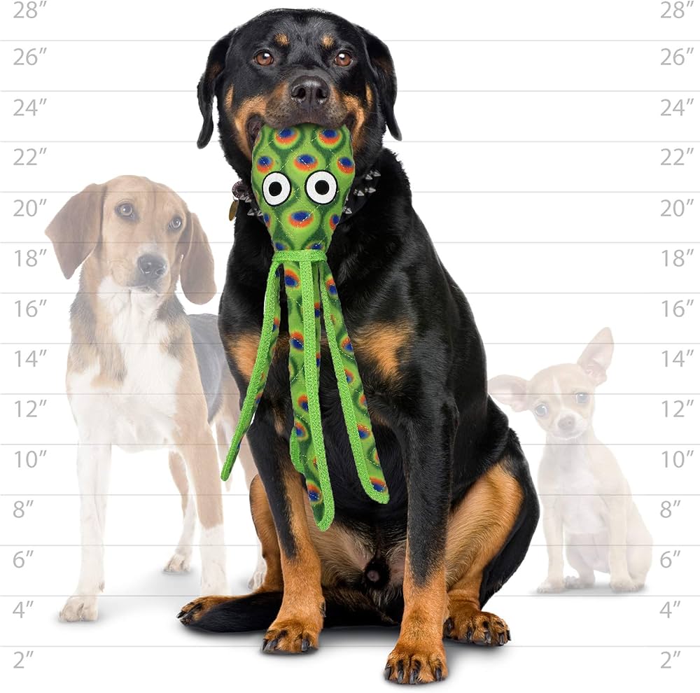Ocean Squid, Durable, Tough, Squeaky Dog Toy | Tuffy