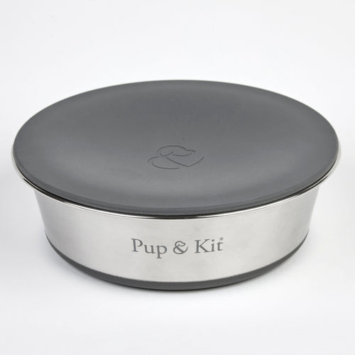 Lid-it Pet Bowl with Stay-Fresh Lid