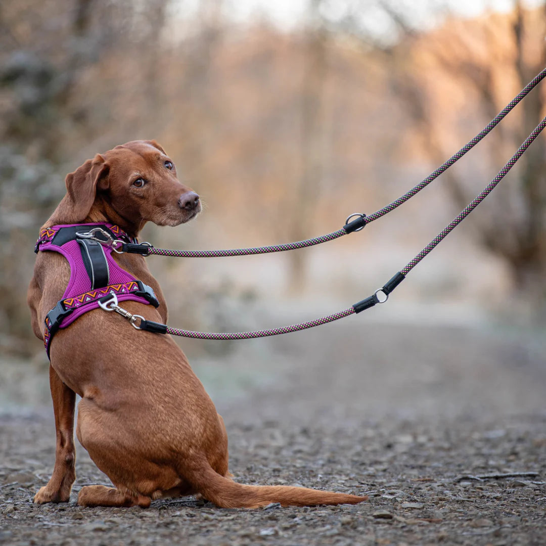 Multifunctional Rope Lead - GO-B-Flextra - Lantana - Neerdog