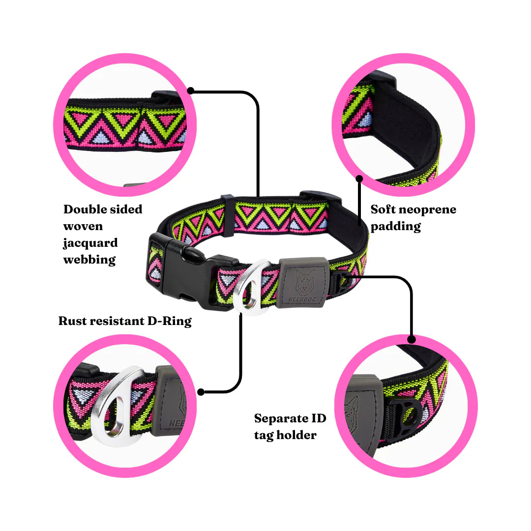 Go-Cee Strong Every Day Dog Collar - Lantana - Neerdog