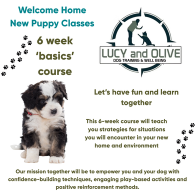 Welcome Home Pup - Puppy Classes
