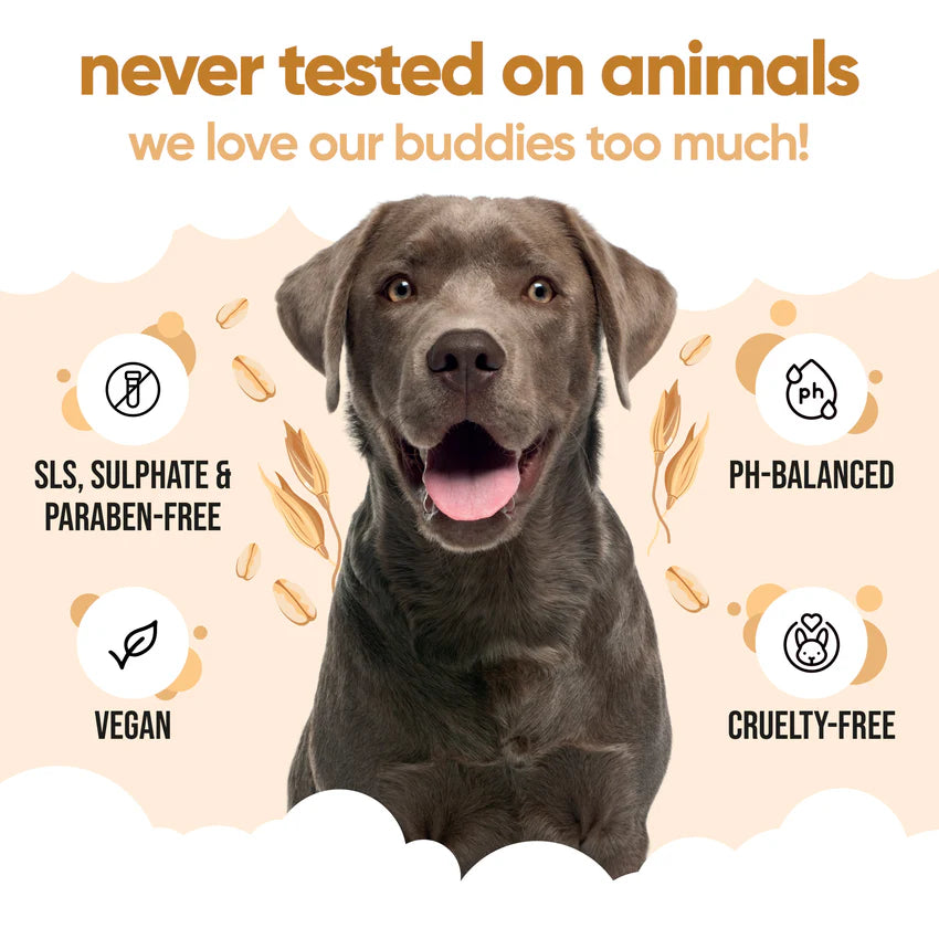 Buddy Care Oatmeal Shampoo