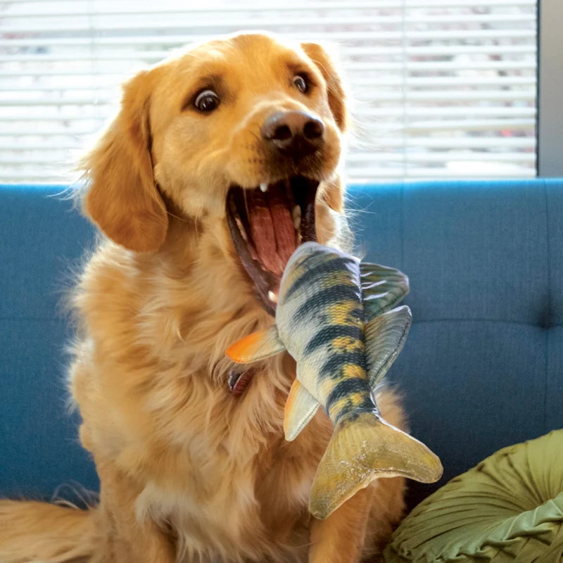 Wild Shieldz Trout or Perch - Floating Toy - Kong