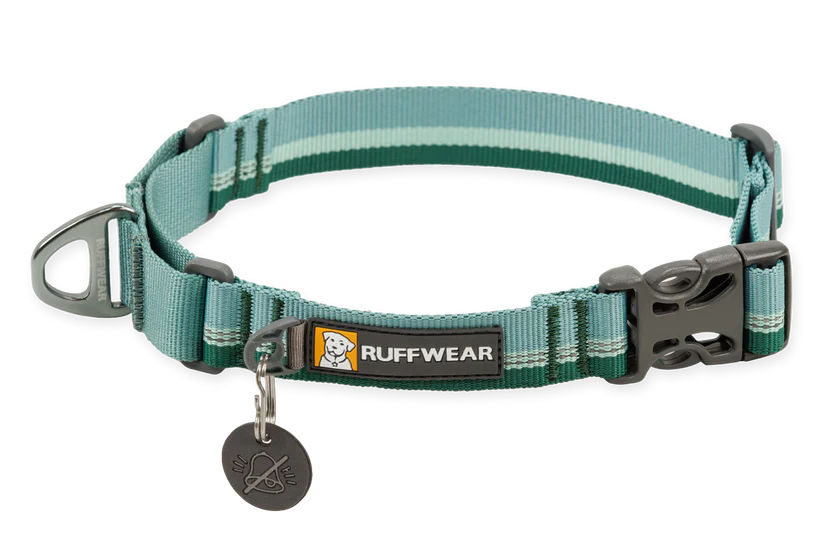 Ruffwear Web Reaction Martingale Dog Collar With Buckle